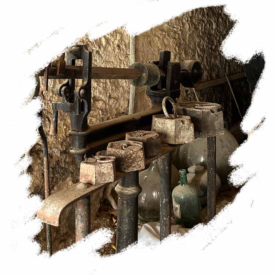 domaine-de-la-tour-montpellier-oenotourisme-decouvertes-vignobles-jeu-enquete-producteur-oenologie-detail-4
